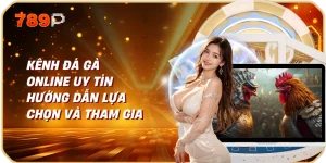 Kênh Đá Gà Online Uy Tín Hướng Dẫn Lựa Chọn Và Tham Gia